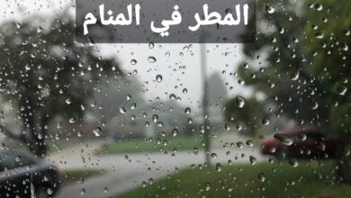 المطر في المنام