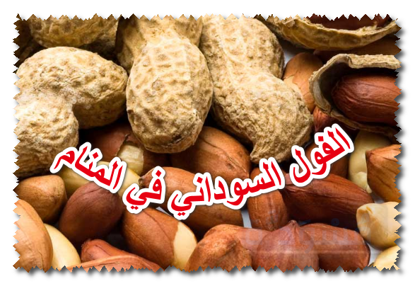 الفول السوداني في المنام