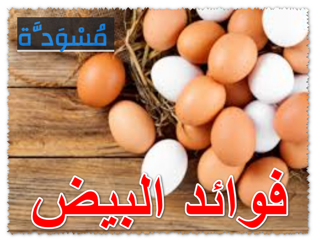 فوائد البيض