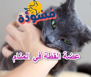 عضة القط في المنام