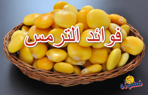 فوائد الترمس