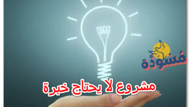 مشروع لا يحتاج خبرة