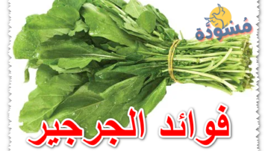 فوائد الجرجير