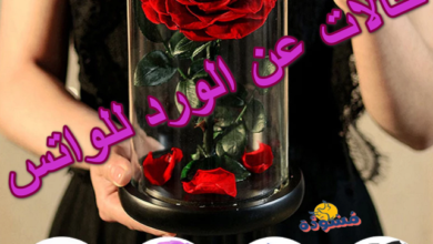 حالات عن الورد للواتس