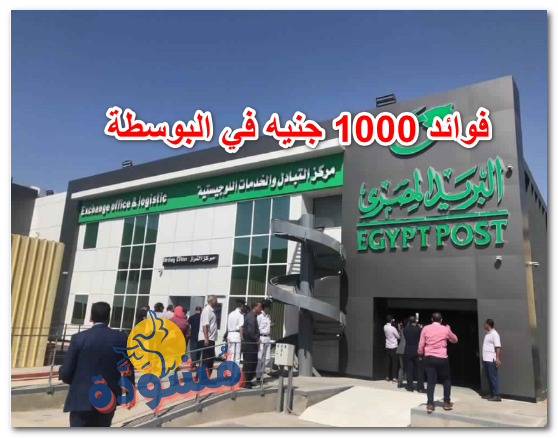 فوائد 1000 جنيه في البوسطة